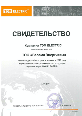 Мы официальные дистрибьюторы TDM Electric, JazzWay, EKF, Schneider electric